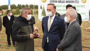 Osmanbey’de Bir Orman Oluşturuluyor  