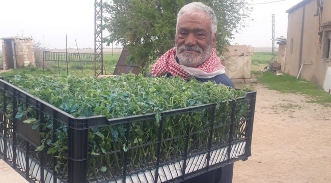 Barış Pınarında Tarımsal Çeşitlilik Destekleniyor