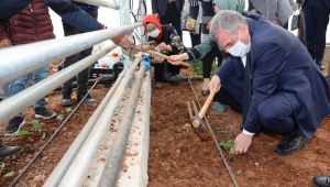 Büyükşehir, Güneş Enerjisi İle Yaş Sebze Ve Meyve Kurutma Tesisisini Hizmete Sundu