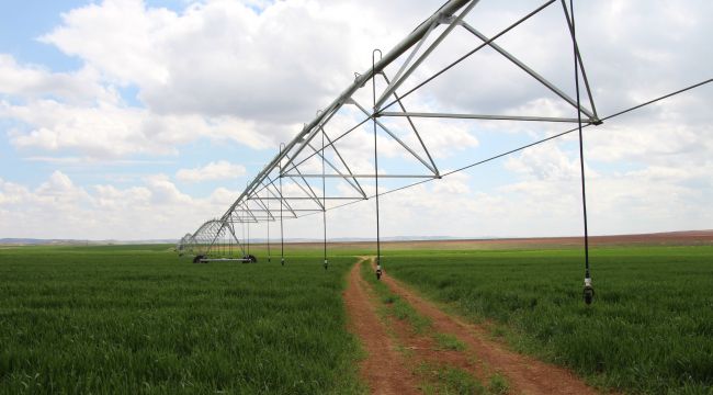Dicle Elektrik Verimli Tarım Hikayeleri: Şanlıurfa'lı çiftçi pivot sulamayla yüzde 50 tasarruf sağladı 