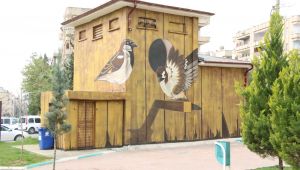 Haliliye Belediyesi İle Trafolar Sanat Eserine Dönüşüyor