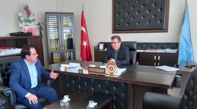 Hebeş: Kök Hücre Hayat Kurtarır