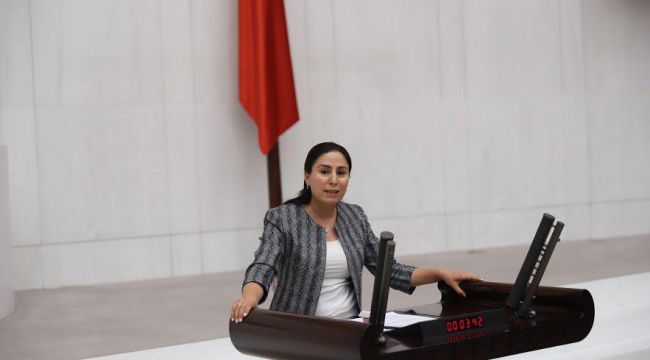 Milletvekili Sürücü Şanlıurfa'daki Elektrik Durumunu Meclise taşıdı