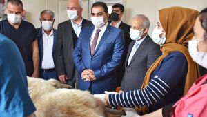 Şanlıurfa'nın Tam Teşekküllü Tek Hayvan Hastanesi Harran Üniversitesi'nde Açıldı
