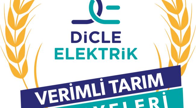 Lavanta ekimine geçti, elektrik faturasından kurtuldu