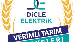 Lavanta ekimine geçti, elektrik faturasından kurtuldu