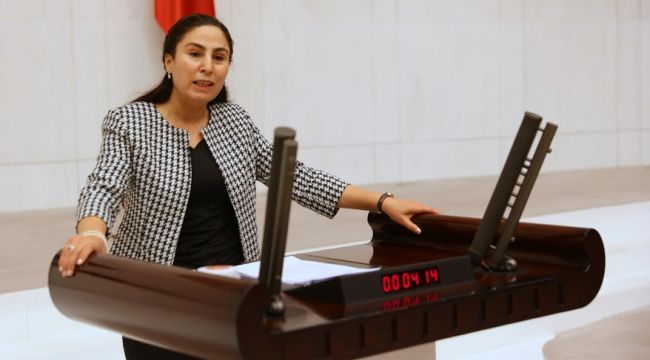 Milletvekili Sürücü Şanlıurfa'daki Durumu Meclise Taşıdı