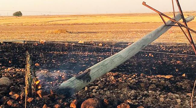 Şanlıurfa’da tarlada anız yakılması elektrik direklerine zarar verdi
