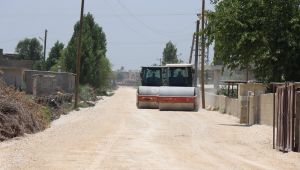 Harran Kırsalında Yollar Asfaltlanıyor