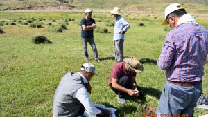 Harran Üniversitesi’nin Pamuk Verimi ile İlgili Projesi, TÜBİTAK Tarafından Kabul Edildi