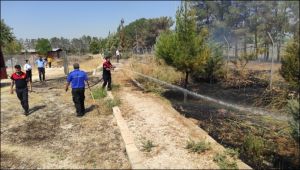 Şanlıurfa Yarı Açık Cezaevi'nde yangın: İtfaiye müdahale etti