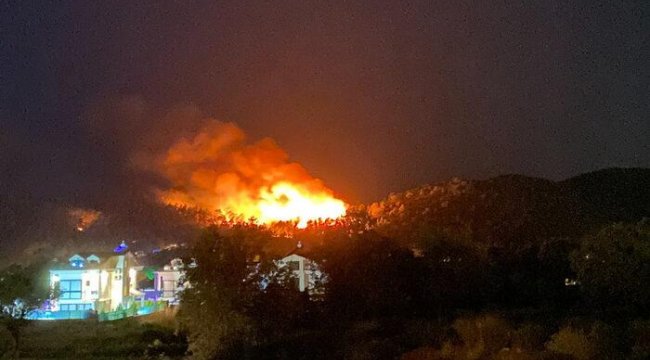 Türkiye'deki yangınlarda son durum! (Adana, Antalya ve Muğla yangınlarında son durum)