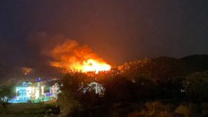 Türkiye'deki yangınlarda son durum! (Adana, Antalya ve Muğla yangınlarında son durum)
