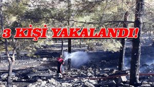 Ağaçlık alanda çıkan yangınla ilgili flaş gelişme!