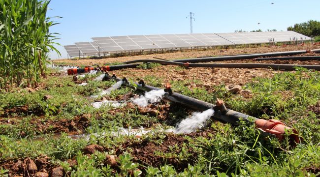 Dicle Elektrik Verimli Tarım Hikayeleri