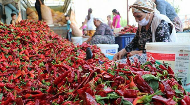 Kadınların Acı Mesaisi Başladı