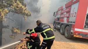 Şanlıurfa İtfaiyesi Destek İçin Bu Kez Manavgat’ta