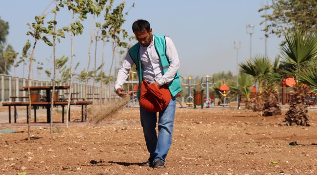 Harran Kent Parkı Büyükşehir’in Çalışmalarıyla Yemyeşil Olacak