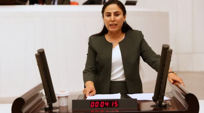 Şanlıurfa Milletvekili Ayşe SÜRÜCÜ, Şanlıurfa Cezaevini Meclise taşıdı
