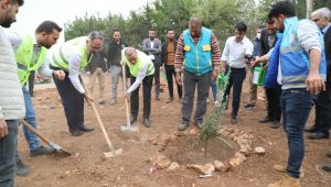 Eyyübiye’deki Okullarda Ağaçlandırma Seferberliği Başladı