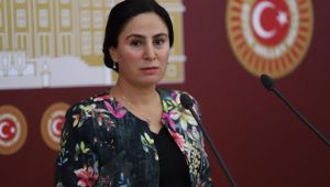 Şanlıurfa Milletvekili Ayşe Sürücü, SMA hastası bebeklerin durumunu meclise taşıdı