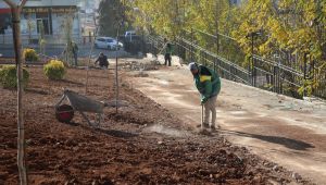 Karaköprü'de Yeşil Alan Düzenleme Çalışmaları Sürüyor