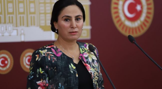 Şanlıurfa Milletvekili Ayşe SÜRÜCÜ, Meclise kadın bakanlığı teklifi sundu