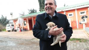 Sokak Hayvanları Rehabilitasyon Merkezi İnşaatı Yükseliyor