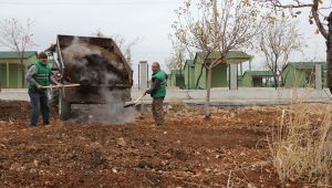  Büyükşehir Vektör İle Mücadelede İşi Sıkı Tutuyor