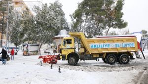   Haliliye Belediyesi, Karla Mücadelede Ekipleriyle Sahada