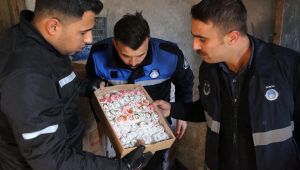 Yüzlerce Kilo Son Kullanma Tarihi Geçmiş Kuruyemiş Ele Geçirildi (FOTOĞRAF-VİDEOLU)