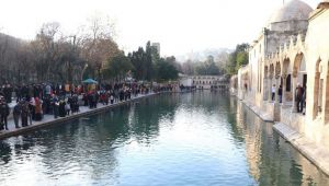 Herkes memleketinde yaşasaydı! Urfa, Türkiye birincisi olurdu!