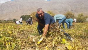 AKP'li başkandan çok konuşulacak sözler! 'Komünist Başkan'dan proje istedim ama…