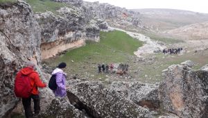 Doğaseverler  “Kadına Şiddete Hayır” Temalı Doğa Yürüyüşü yaptı