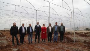 Eyyübiye Belediyesinin Dev İstihdam Projesi Başladı (foto-video)