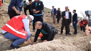 Şanlıurfa'da GARD Ormanı İçin Fidanlar Dikildi