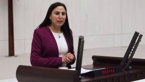 Şanlıurfa Milletvekili Ayşe Sürücü, Adıyaman Maden ocağını meclise taşıdı