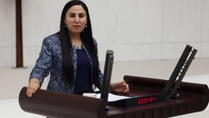 Şanlıurfa Milletvekili Ayşe Sürücü, Balıklıgöl'deki balıkların ölüm sebebini meclise taşıdı