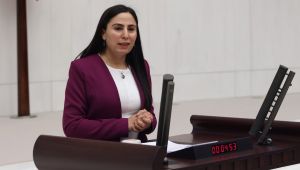 Şanlıurfa Milletvekili Ayşe Sürücü, Cezaevi şartlarını meclise taşıdı