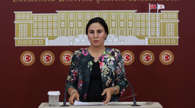 Şanlıurfa Milletvekili Ayşe Sürücü, Valilik tarafından yasaklanan Kürtçe oyunu meclise taşıdı
