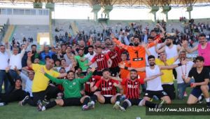 Siverek Belediyespor, Akçakale’yi 2-0 yendi