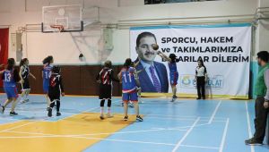 Haliliye Belediyesi 19 Mayıs Basketbol Turnuvası Başladı