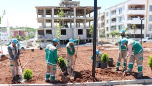 Haliliye’de Yeni Parklar İle Yeşil Alan Miktarı Artırılıyor