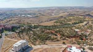 Başkan Beyazgül “Yemyeşil Bir Şanlıurfa İçin Çalışıyoruz”