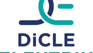 Dicle Elektrik İnşaatçı ve Ağaç Budayıcıları Uyardı