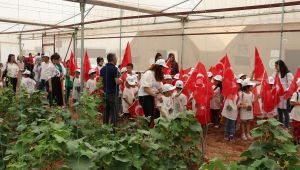 Haliliye’de “Çevre Günü” Etkinliklerle Dolu Dolu Geçti 