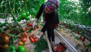 Şanlıurfa ‘’Urfa 4.0 Zirvesi’’ne Ev Sahipliği Yapacak