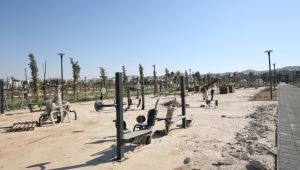 Eyyübiye Millet Bahçesi Ağaçlandırması Tamamlandı