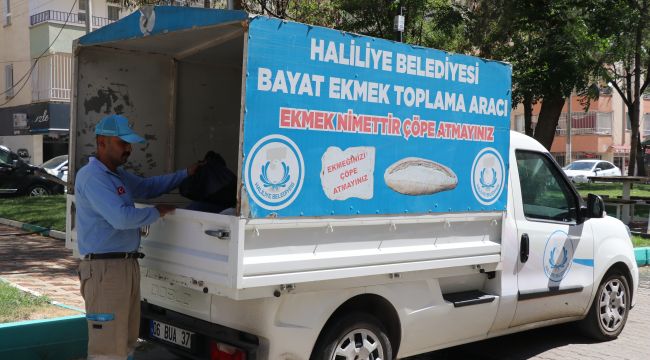 Haliliye’de Ekmek İsrafını Önleyen Uygulama Takdir Topluyor