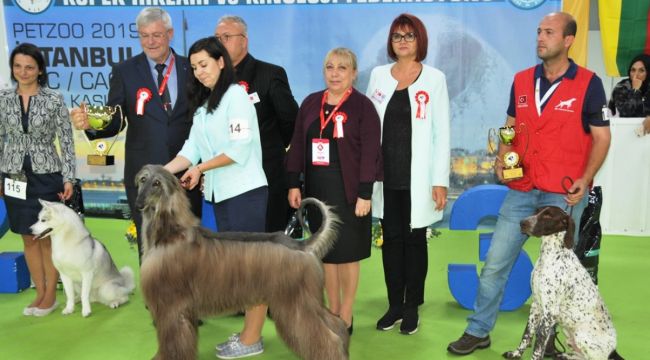 Ankara'nın Tek Pet Fuarı Eylül’de Başlıyor